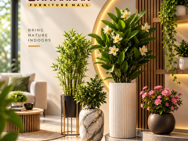 Decor and Furnishing
